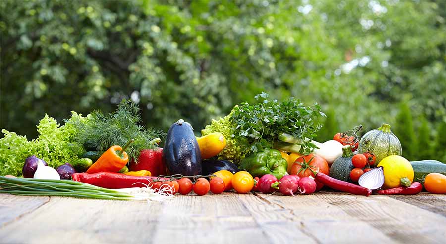 intermediarios de venta de frutas y verduras ecologicas a restaurantes y hoteles